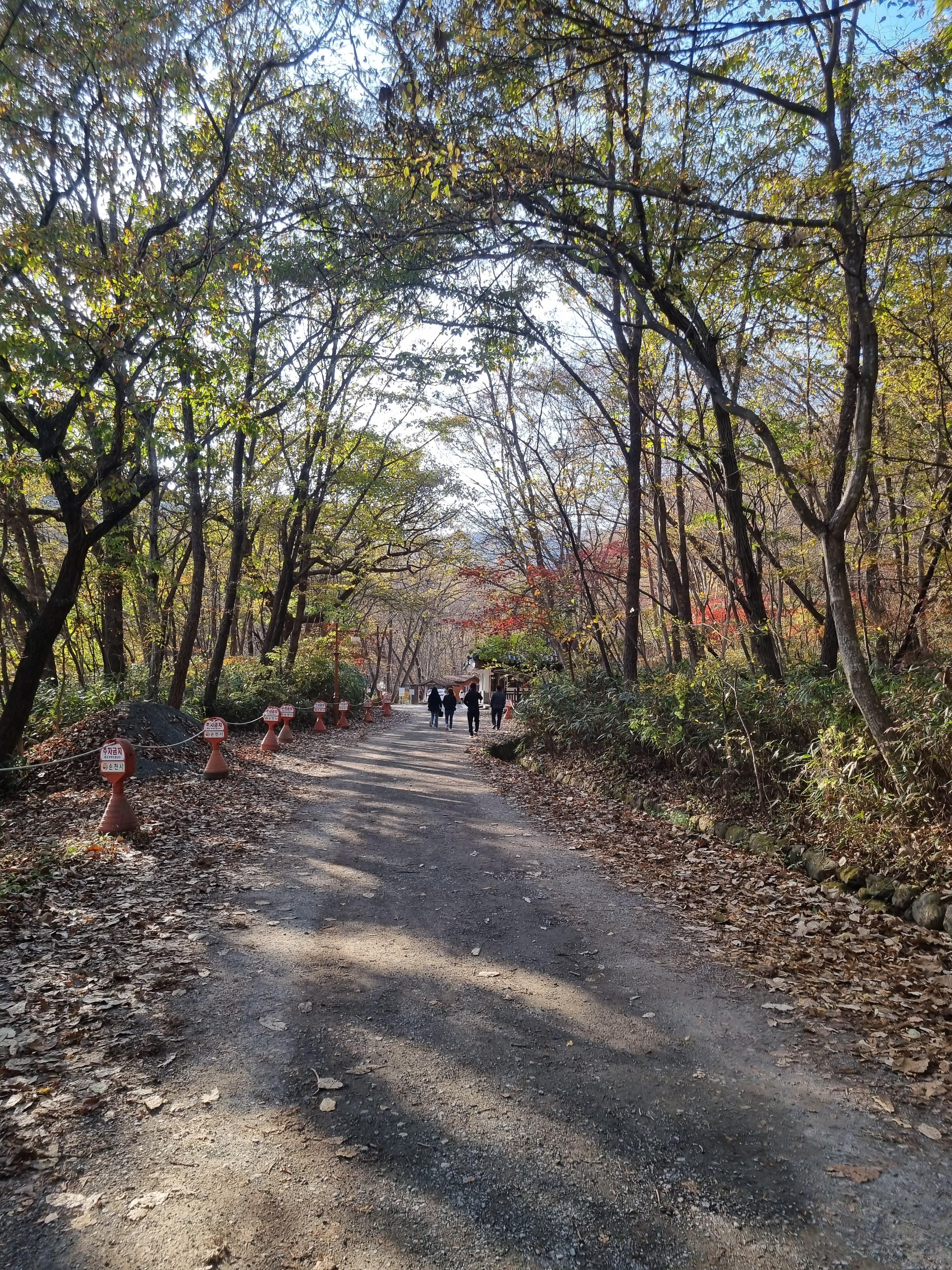 선암사