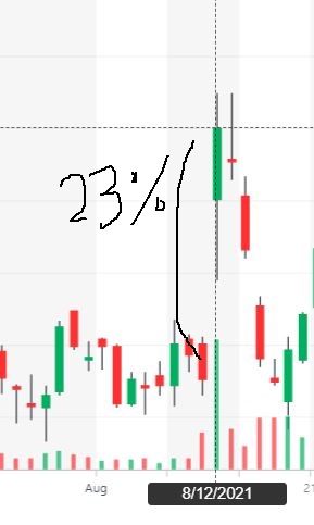 오픈도어 상승