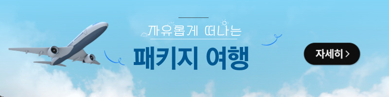 패키지여행