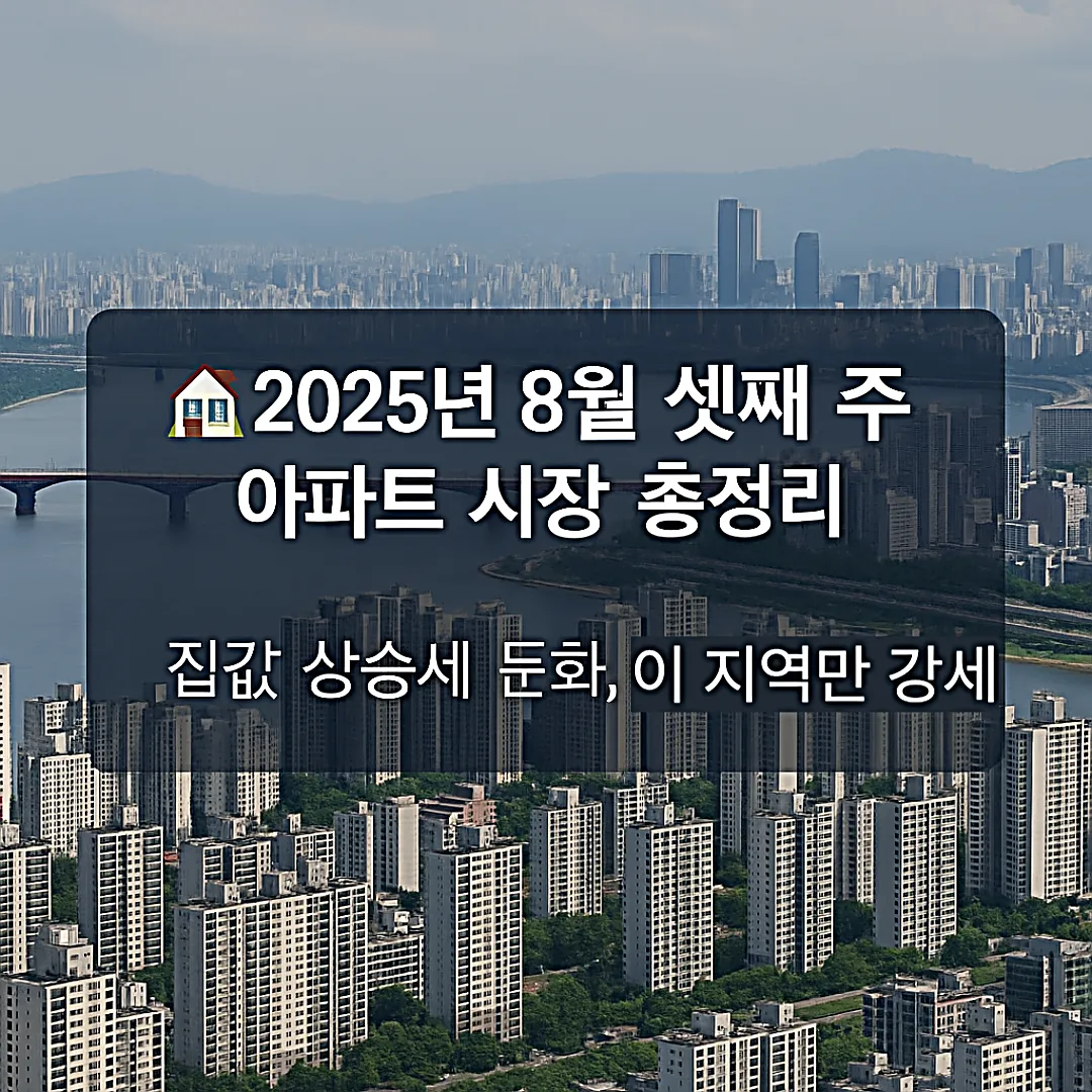 2025년 8월 셋째 주 아파트 시장 총정리