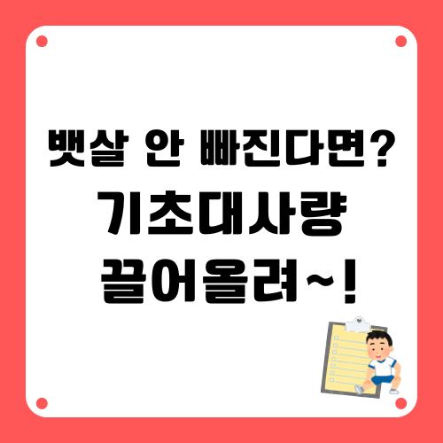 기초대사량 올리기