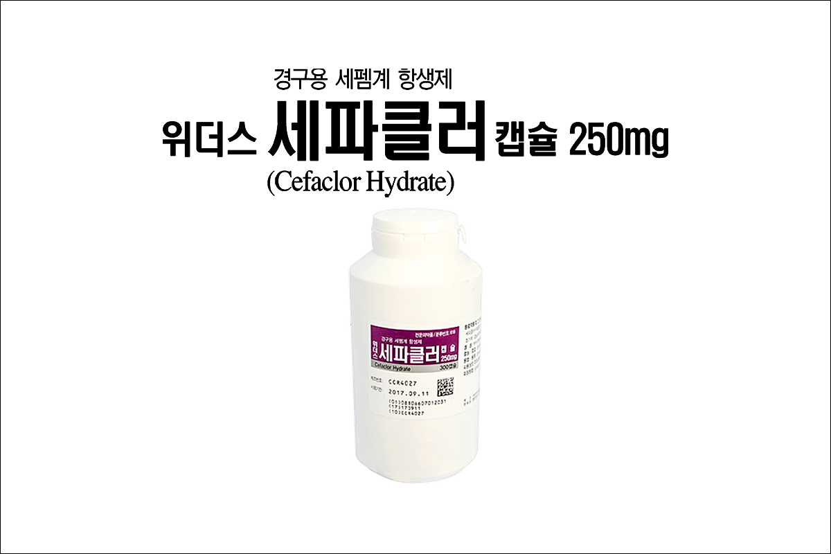 위더스세파클러캡슐 250mg(Withus Cefaclor Cap. 250mg)