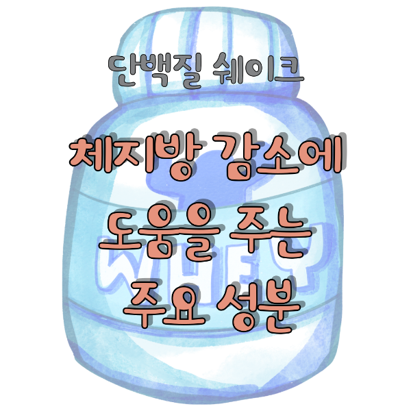 단백질 쉐이크가 체지방 감소에 도움을 주는 주요 성분