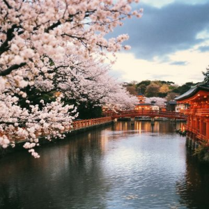 후쿠오카 계절별 추천 여행지