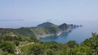 통영 연화도 수국 꽃길 산책 코스와 최적 관람 시기_3