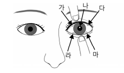 요양보호사 기출문제