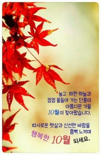 10월 인사말 예시 모음 영어_8