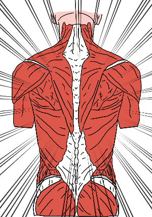 허리 디스크의 주요 증상