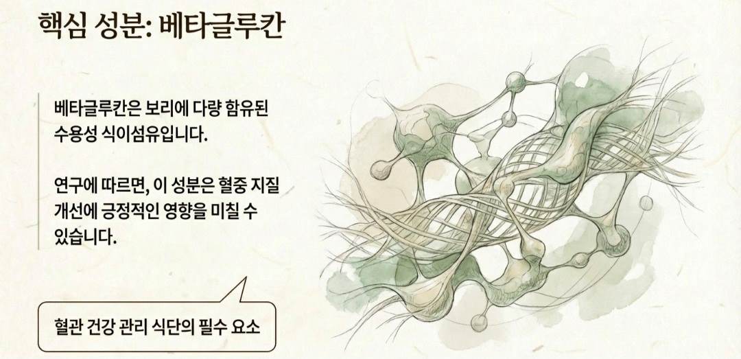 늘보리-사진5