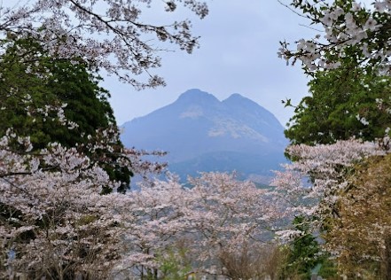 유후인