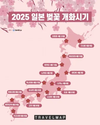 벚꽃 개화시기 2025 만개시기 히든스팟_13