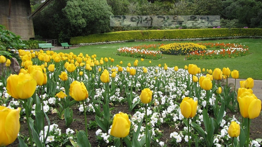 금문공원(Golden Gate Park)