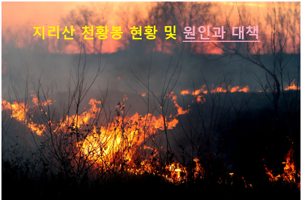 지리산 천황봉 현황 및 원인과 대책