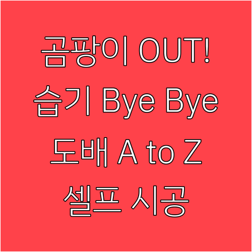곰팡이 OUT! 습기 많은 공간을 위