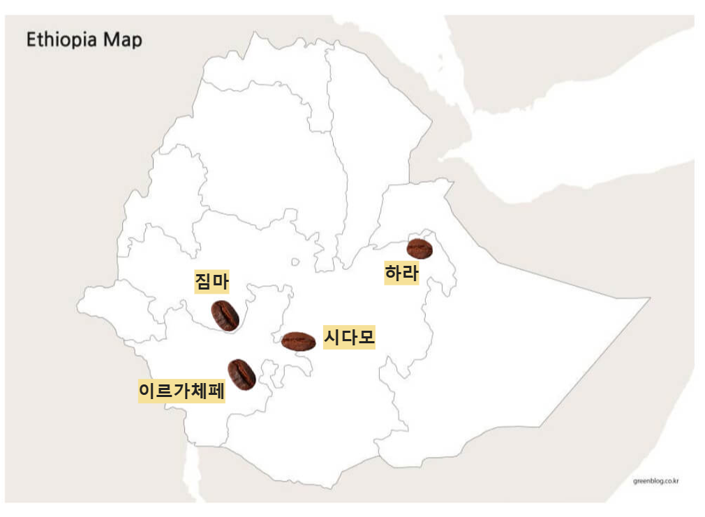 에티오피아의 하라와 시다모