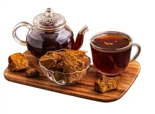 차가버섯 효능효과 영양성분 주의점