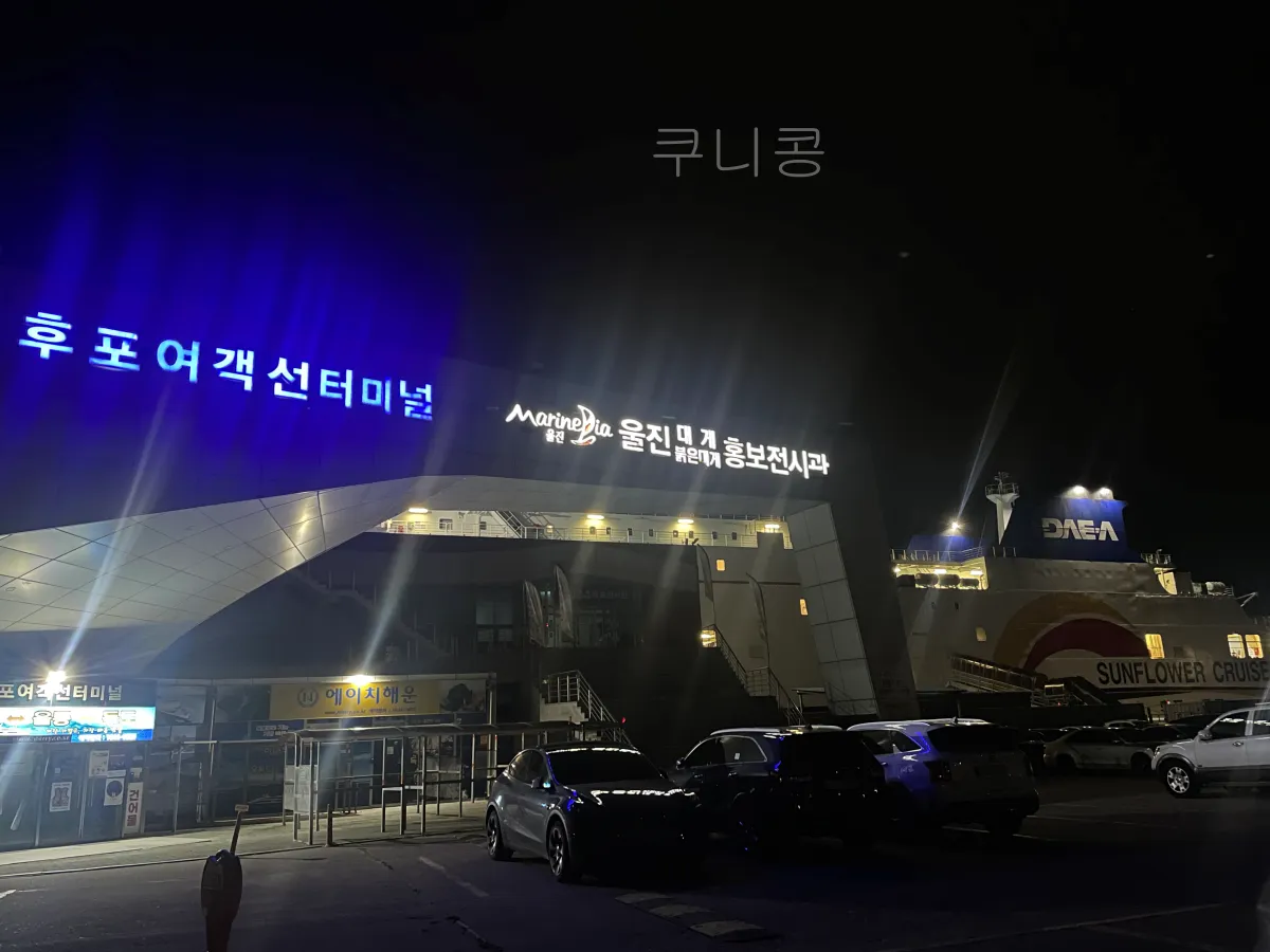 울릉도-2박3일-가족여행-후포항-울릉썬플라워-크루즈-차량선적-배편가격-발권꿀팁