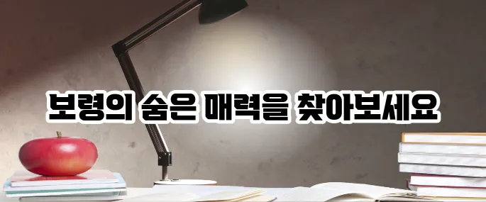 보령 가볼만한곳 베스트10 머드축제 외 추천 명소