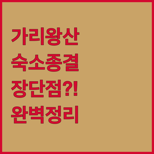 가리왕산 케이블카 근처 정선 숙소 추..