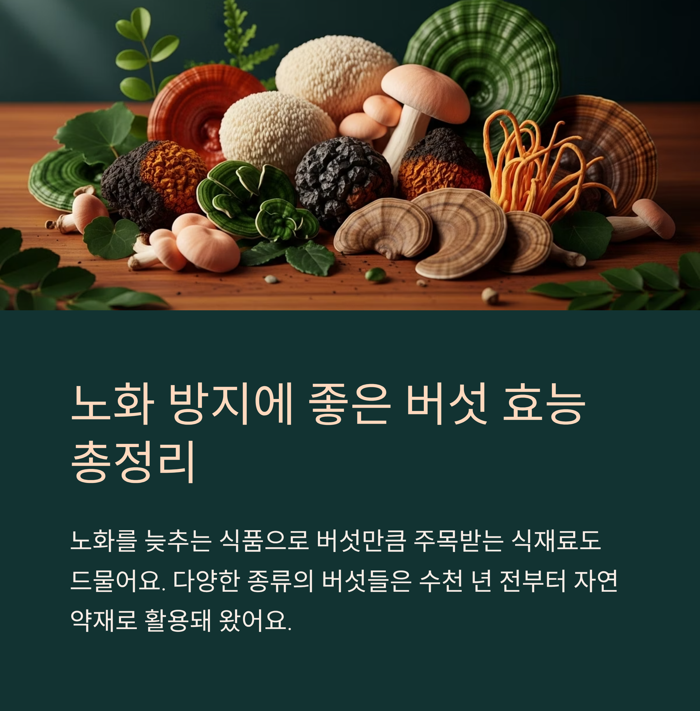 노화 방지에 좋은 버섯 효능 총정리