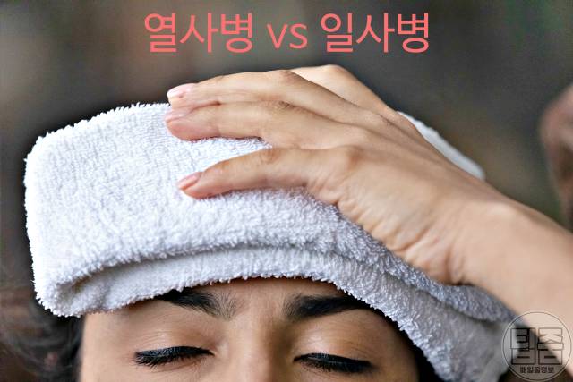 열사병 증상 일사병 열사병 차이