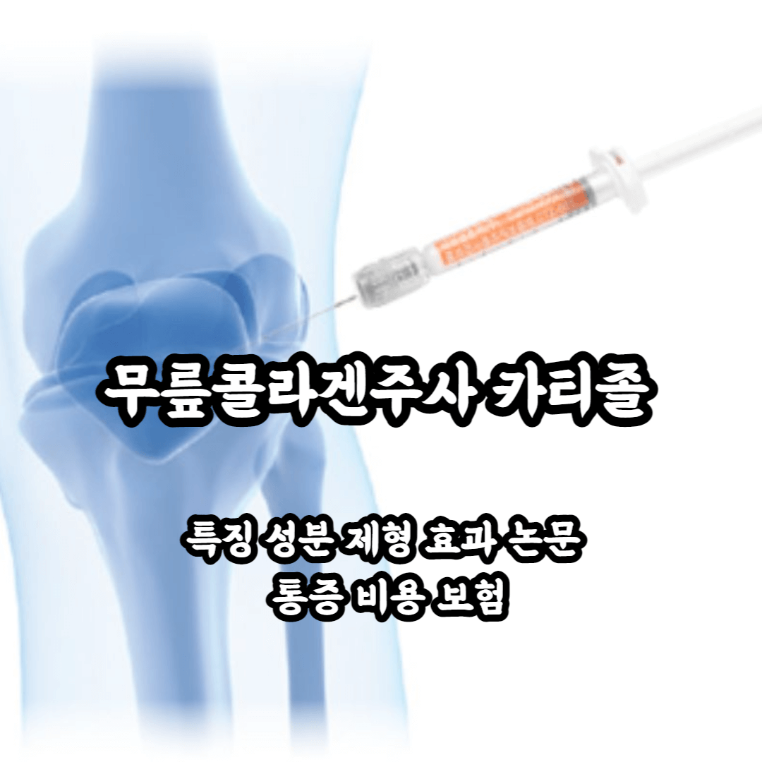 무릎콜라겐주사 카티졸 특징 성분 제형 효과 논문 통증 비용 보험