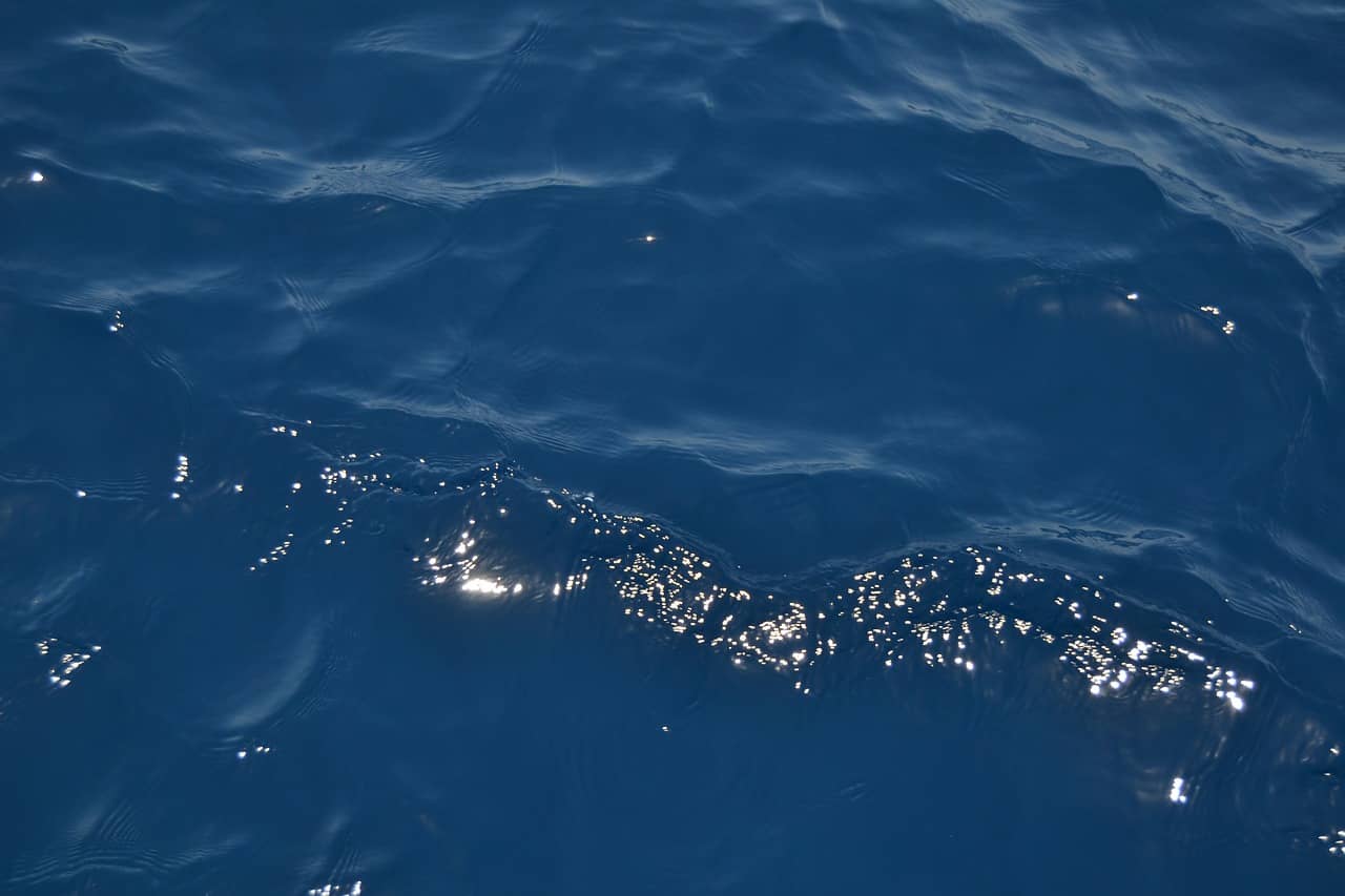 "우리에게 바다가 필요한 이유 - 해양강국 한국의 미래"