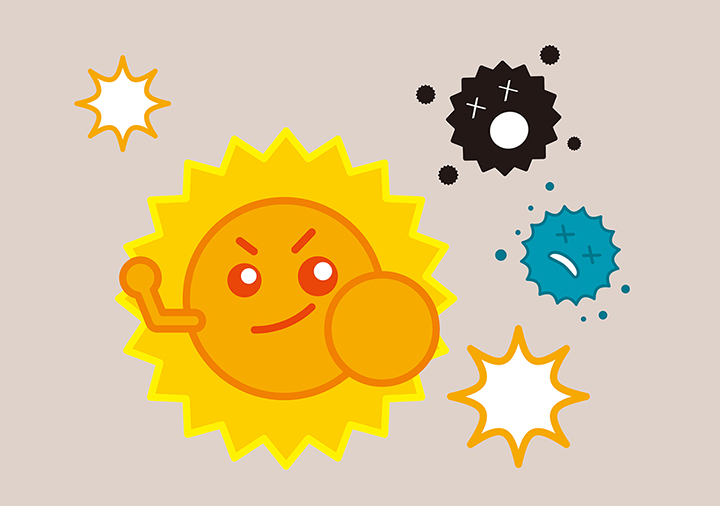 건강한-면역세포의-모습