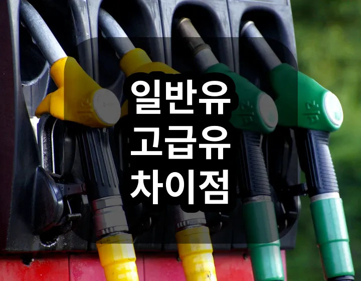일반유 고급유 차이점