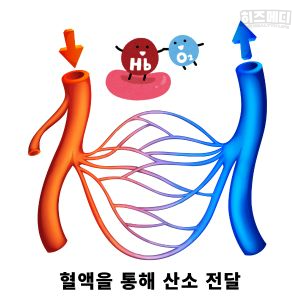 혈압 정상수치