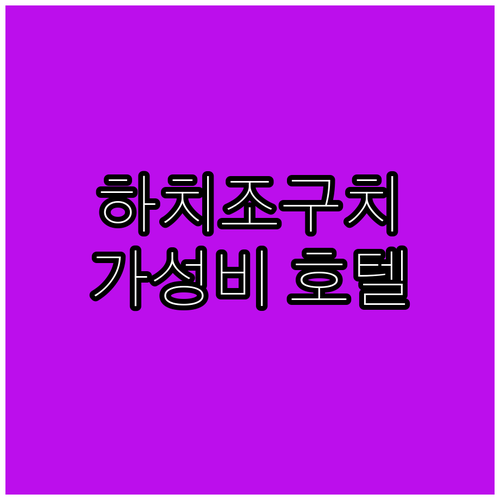 교토 하치조구치 가성비 호텔 추천! ..