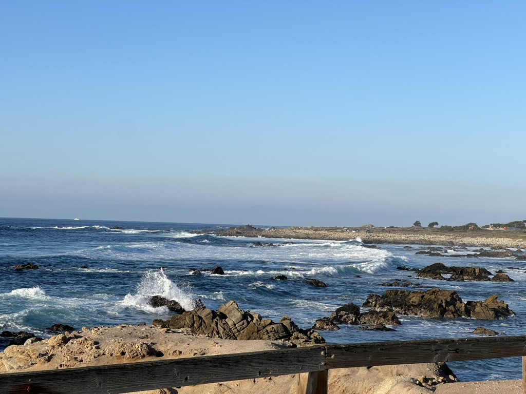 Bird Rock