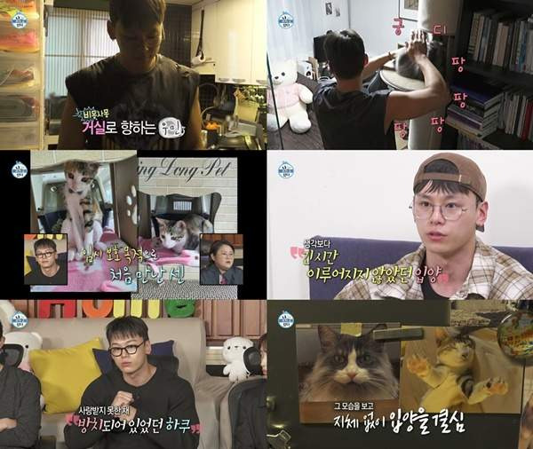 차우민 반려뱀 마쿠 정체는? 나혼산 망원동 집&middot;반려묘 센 하쿠&middot;나이 프로필 총정리