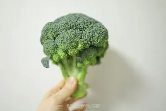 브로콜리 반찬 요리 밑반찬 레시피_9