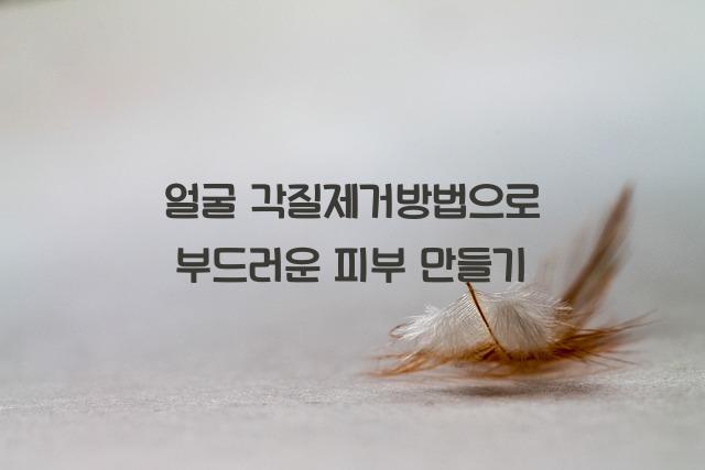 얼굴 각질제거방법