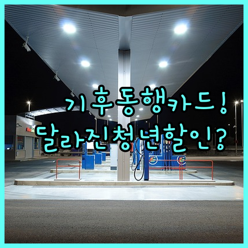 2026년 달라진 기후동행카드 청년 ..