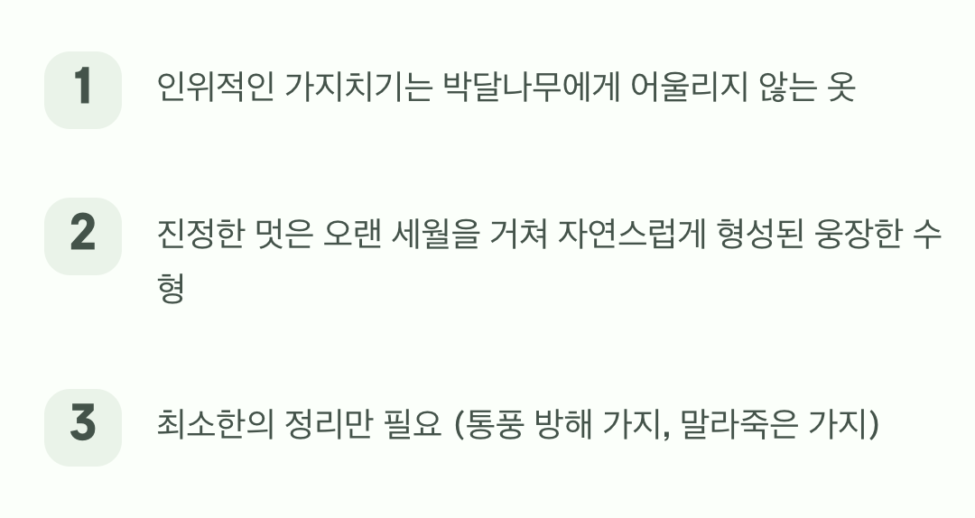 4. 인위적인 조각보다, 자연스러운 실루엣을