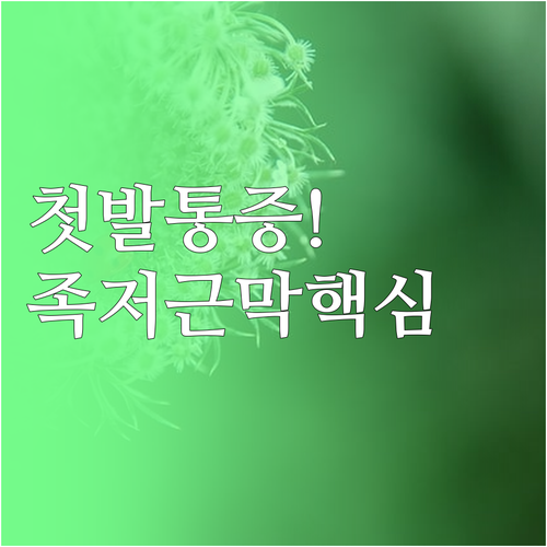 족저근막염 아침 첫발 통증 원인별 위..