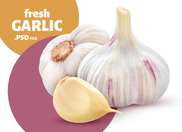 탈모에좋은마늘2