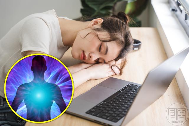 달래 효능 피로 해소