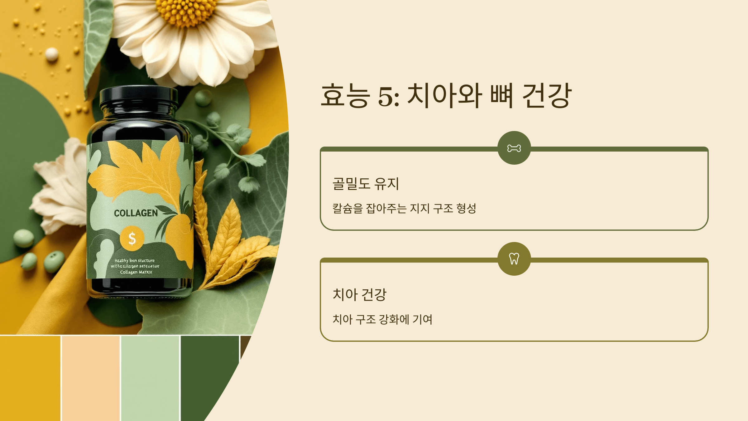 콜라겐 사진입니다.