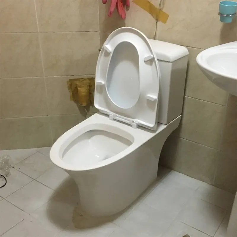 치마형 양변기도 물이 내려가는 원리는 같다.