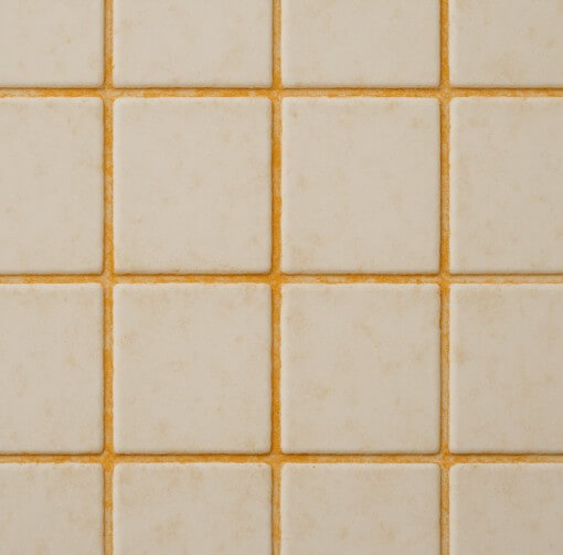 타일 사이 줄눈에 낀 곰팡이