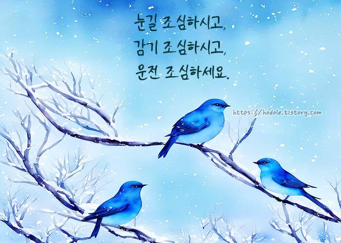 눈길-조심-이미지