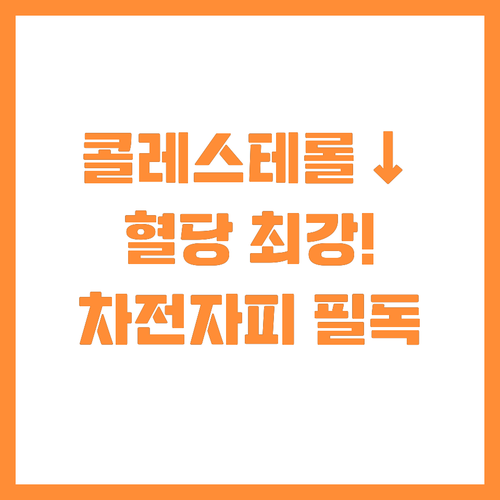 콜레스테롤 혈당 잡는 기적의 식이섬유..