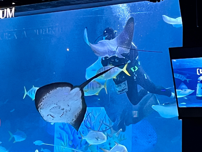 가오리 피딩 타임 2