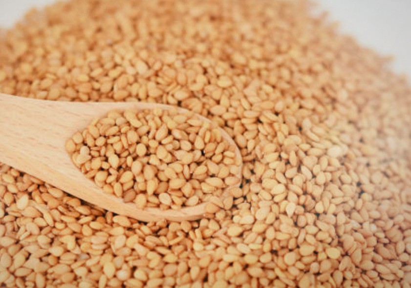 이름도 비슷하지만, 속은 전혀 다른 씨앗 이야기 : 참깨와 들깨