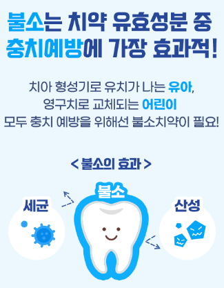 불소는 충치예방에 효과적