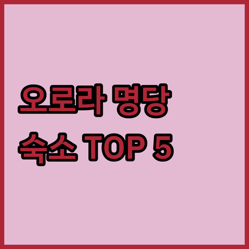 아이슬란드 다이아몬드 비치 근처 오로..