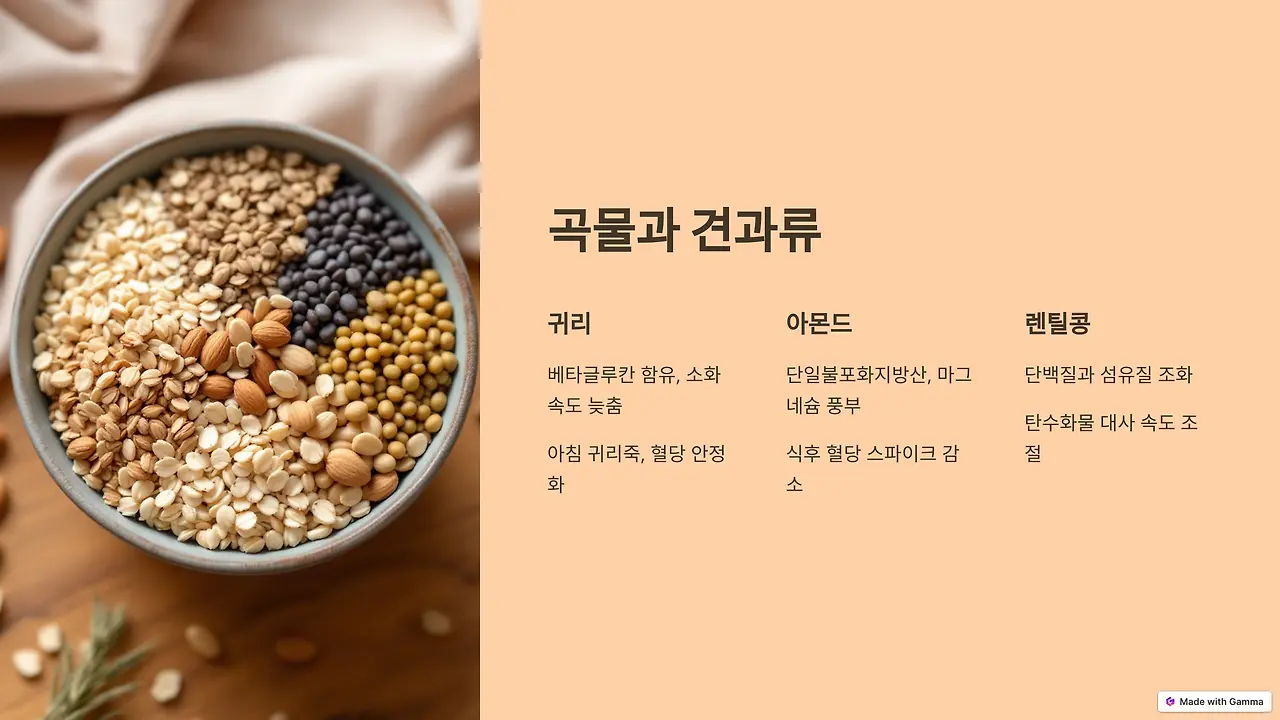 곡물과 견과류